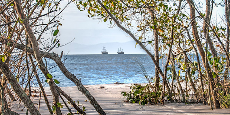 foto praia Cachoeira do Bom Jesus entre as árvores com dois barcos ao fundo