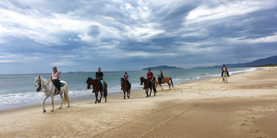 grupo de pessoas andando a cavalo na beira da praia