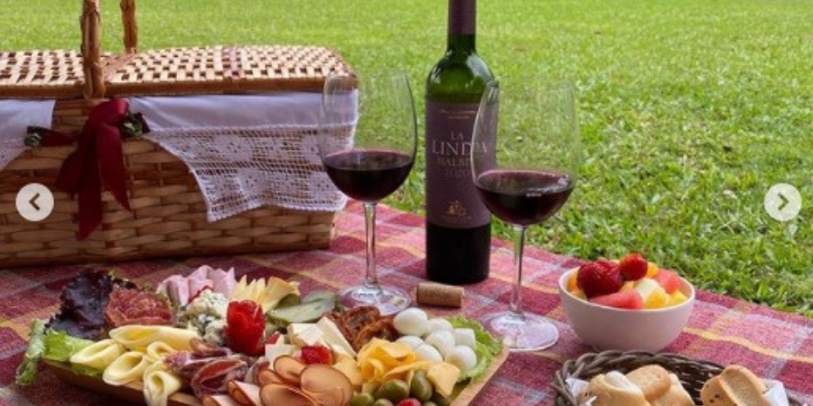 toalha quadriculada vermelha na grama, duas taças, vinho, cesta de palha, prato de frios e potes com frutas e pães