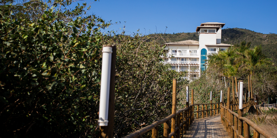 caminho da praia até o hotel por um deck de madeira e vegetação nativa dos lados