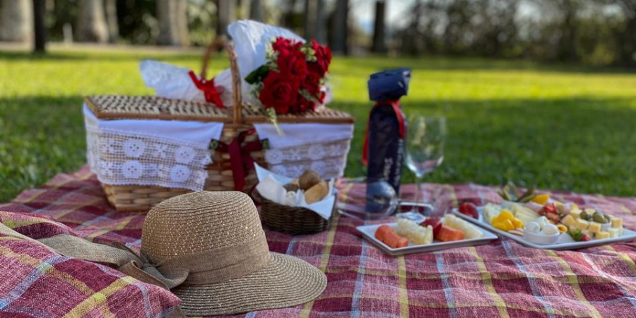 toalha quadriculada vermelha na grama, cesta de palha, pratos com comida e chapéu