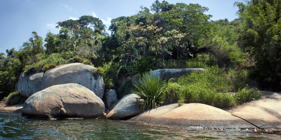 Trajeto de trilha - Florianópolis